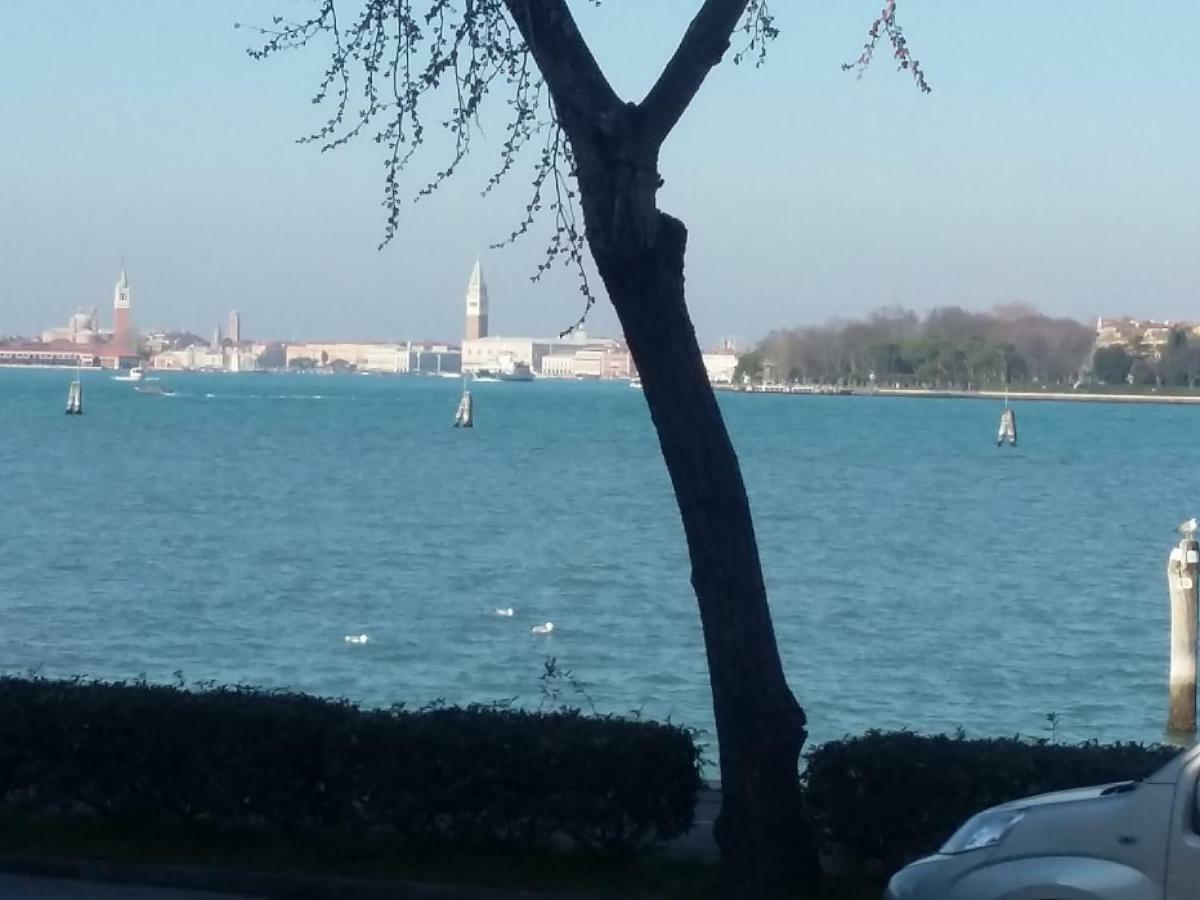 Bellavista Sanmarco Venice And Lagoon View Lido de Venise Extérieur photo