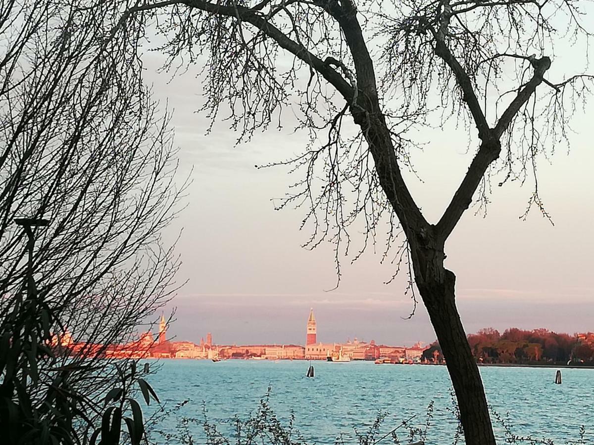 Bellavista Sanmarco Venice And Lagoon View Lido de Venise Extérieur photo